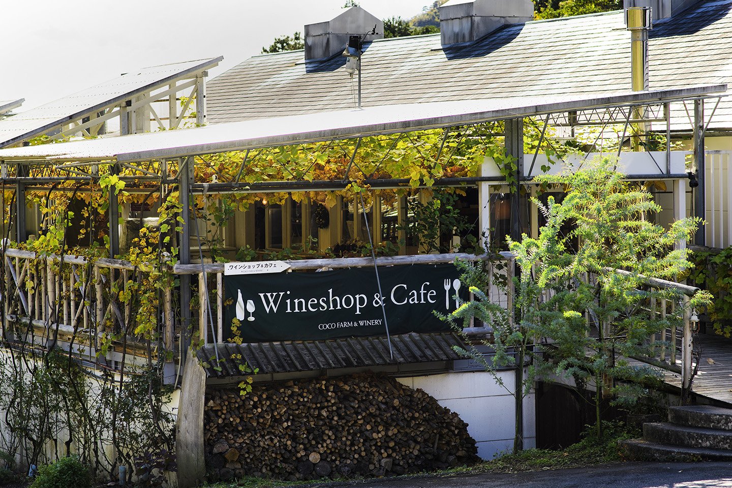 🍇 코코 팜 와이너리(코코 파무 와이나리) 이미지 8